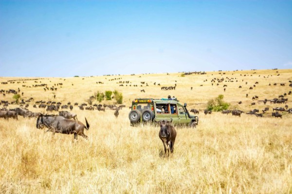 Destinasi Terbaik Afrika untuk Liburan, bak Kepingan Surga